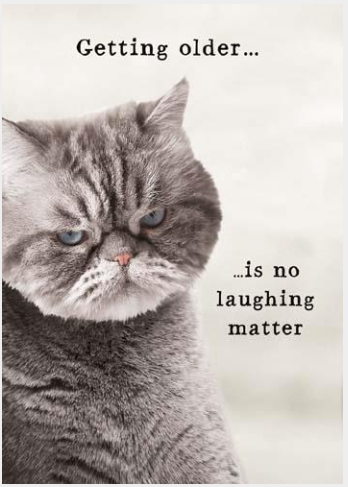 Animal Antics No Laughing Matter Birthday Card