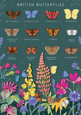 British Nature Butterflies Card