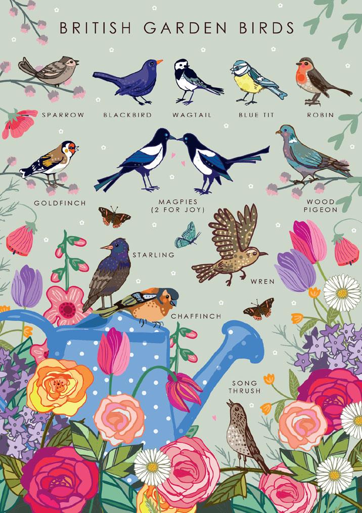 British Nature Garden Birds Card