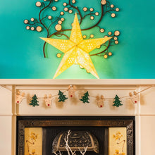 Load image into Gallery viewer, Firework Natural Stone Paper Starlight