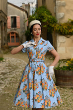 Load image into Gallery viewer, Hallie Aqua Floral Swing Dress