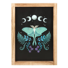 Load image into Gallery viewer, Luna Moth Wall Art

