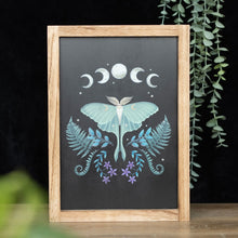 Load image into Gallery viewer, Luna Moth Wall Art
