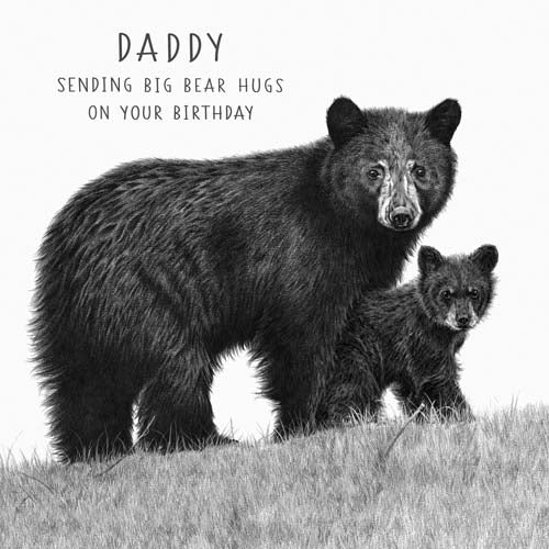 Life In Pencil Daddy Bear Hugs Birthday Card