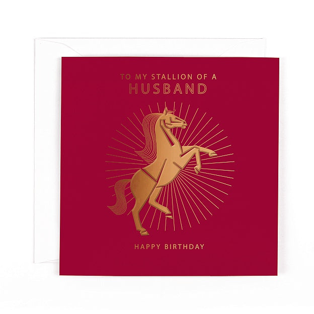 Orion Stallion Husband Birthday Card