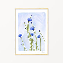 Load image into Gallery viewer, Posy Cornflowers Floral A4 Print Unframed
