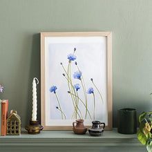 Load image into Gallery viewer, Posy Cornflowers Floral A4 Print Unframed
