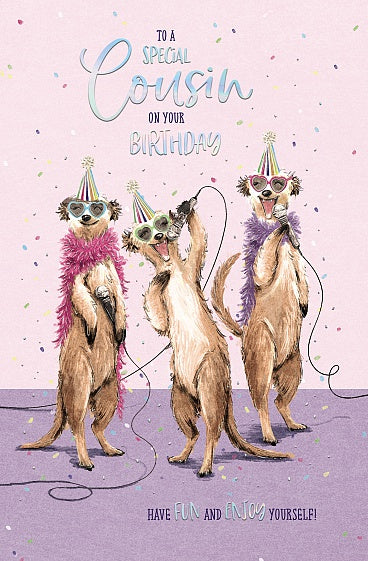 Wishing Well Cousin Meerkats Birthday Card