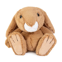 Load image into Gallery viewer, All Creatures Rosie Rabbit Medium
