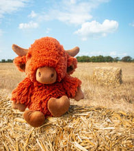 Load image into Gallery viewer, All Creatures Hamish Highland Cow Medium

