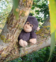 Load image into Gallery viewer, All Creatures Kokomo Chimpanzee Medium
