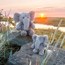 Load image into Gallery viewer, All Creatures Hazel Elephant Keyring
