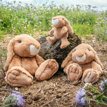 Load image into Gallery viewer, All Creatures Rosie Rabbit Medium
