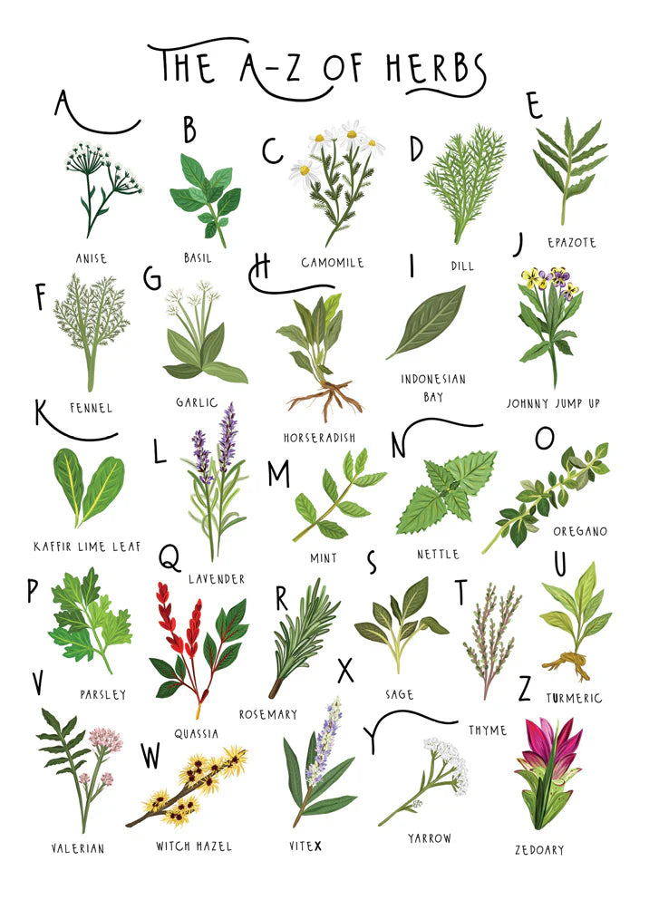 Bea A-Z Of Herbs Card