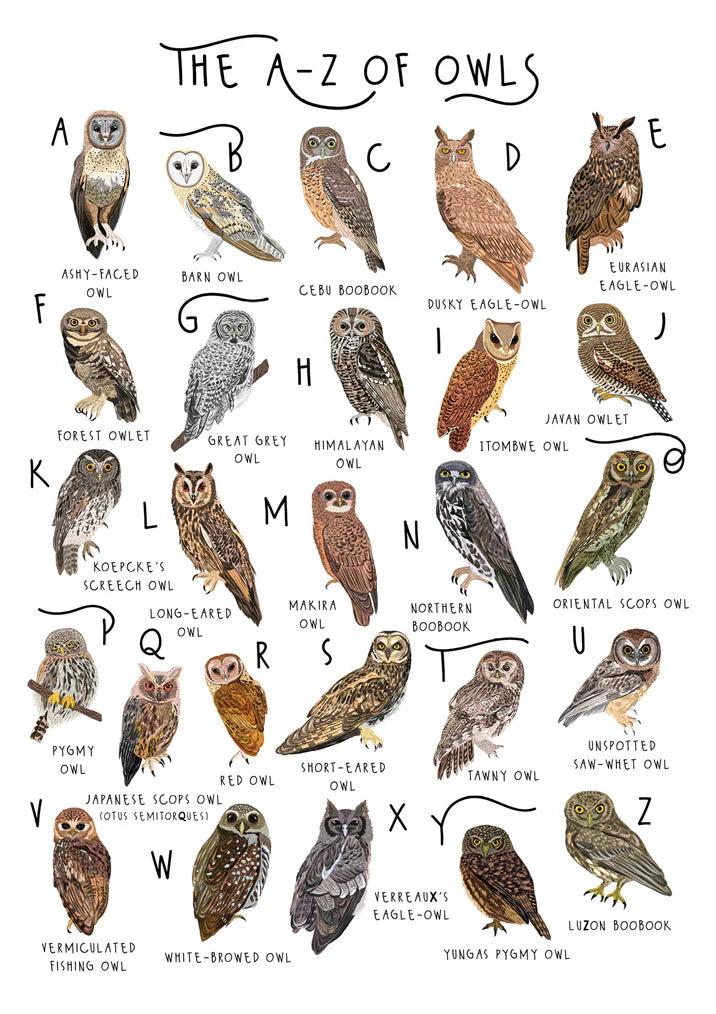 Bea A-Z Of Owls Card