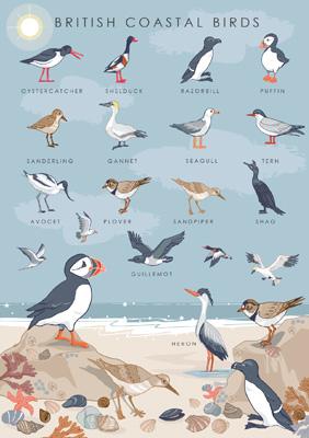 British Nature Coastal Birds Card