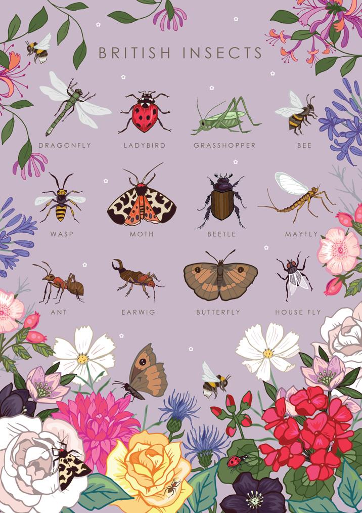 British Nature Insects Card – Aurelie and Rose