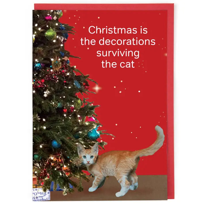 Christmas Surviving The Cat Card