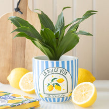 Load image into Gallery viewer, La Dolce Lemons Plant Pot
