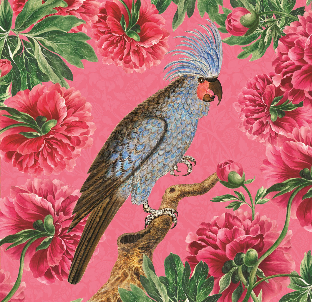 MA Vintage Blue Cockatoo Floral Card