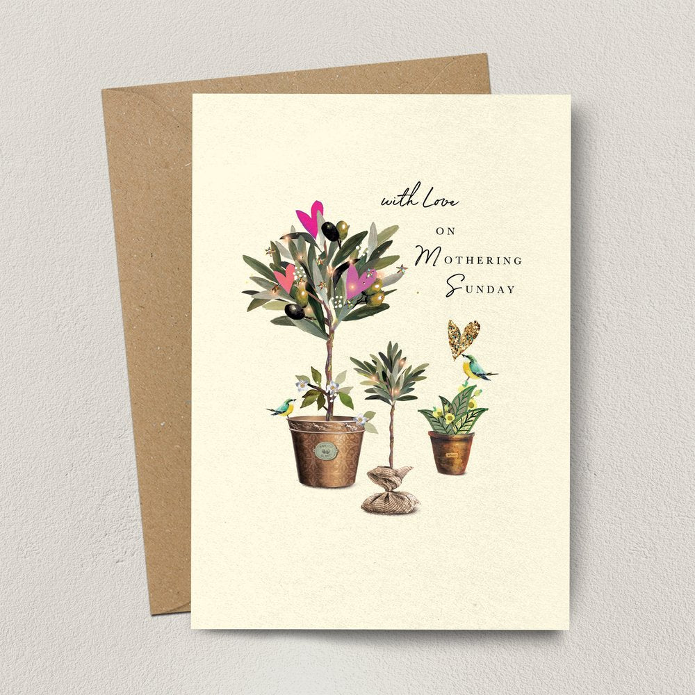 MN Olive Trees Mothering Sunday Card
