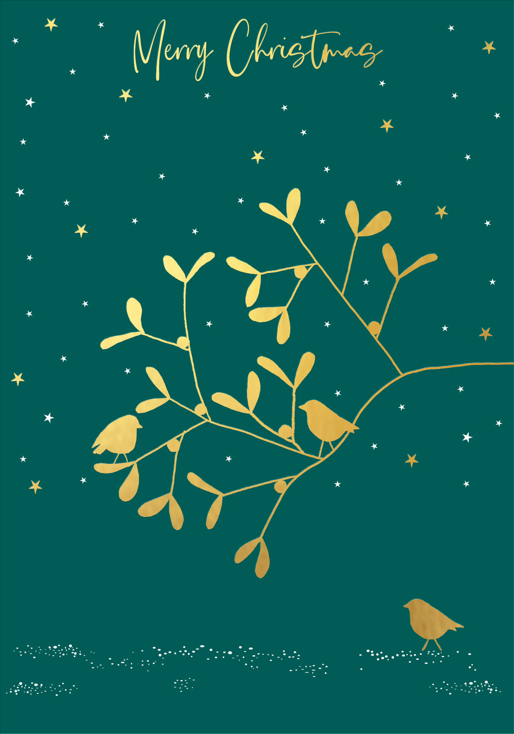 Mistletoe & Robin Christmas Card