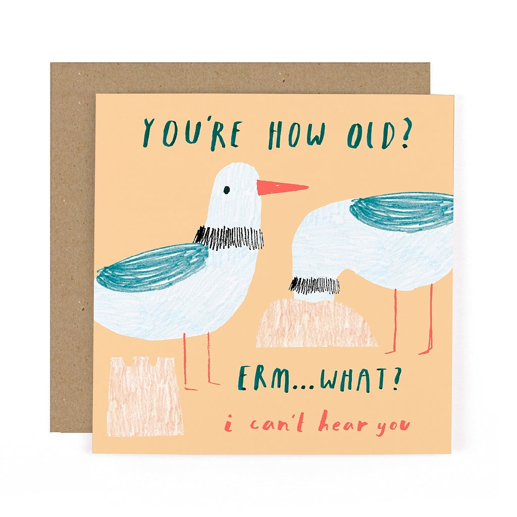 Peanut How Old Seagulls Birthday Card