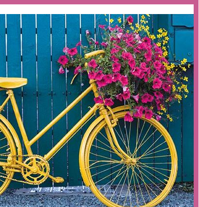 Photogram Floral Bicycle Card