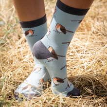 Load image into Gallery viewer, Bamboo Socks Robins Duck Egg Blue
