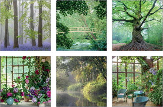 Good Life Notecard 6 Pack