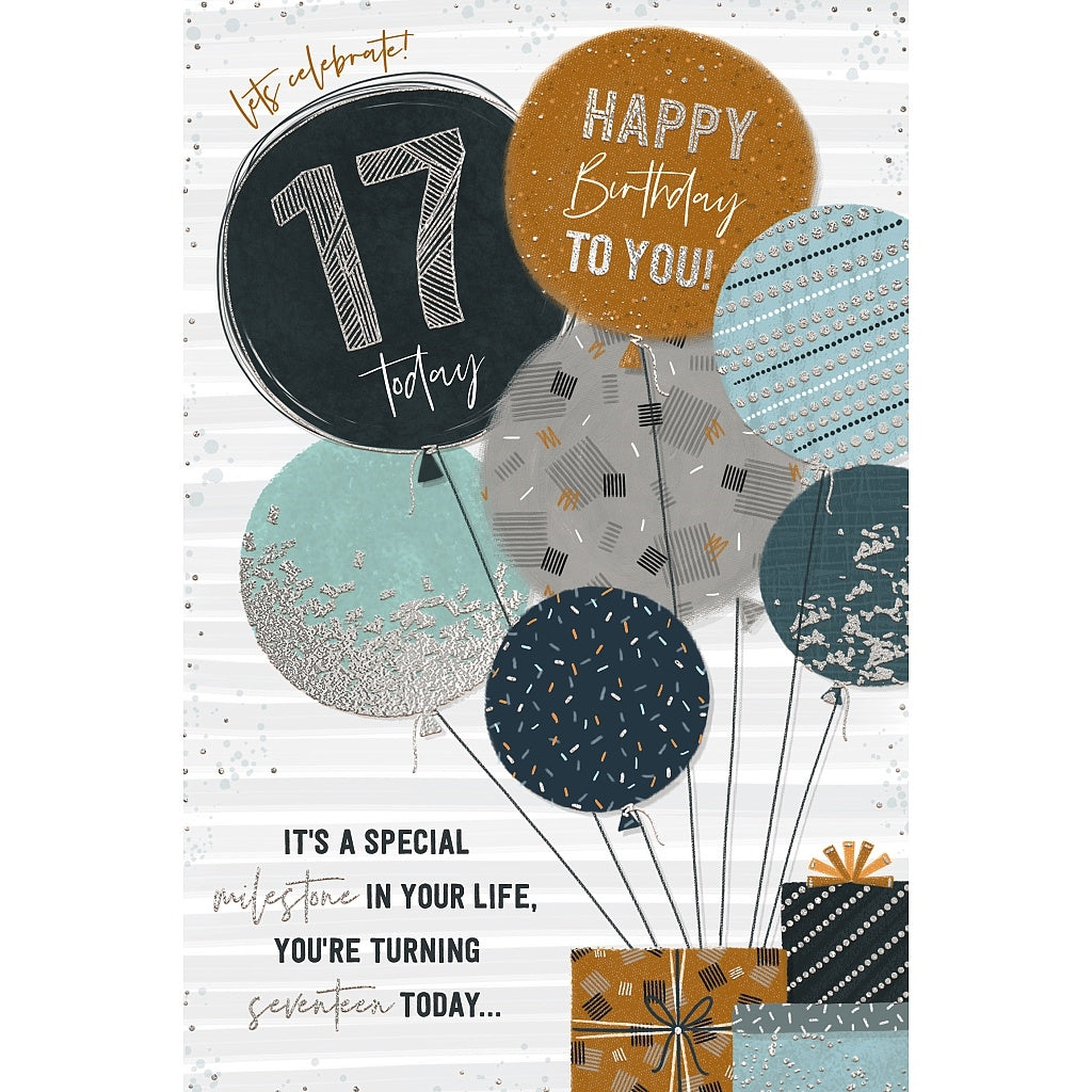 Wishing Well 17 Blue Balloons Birthday Card