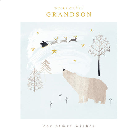 Christmas Wishes Wonderful Grandson Polar Bear Card
