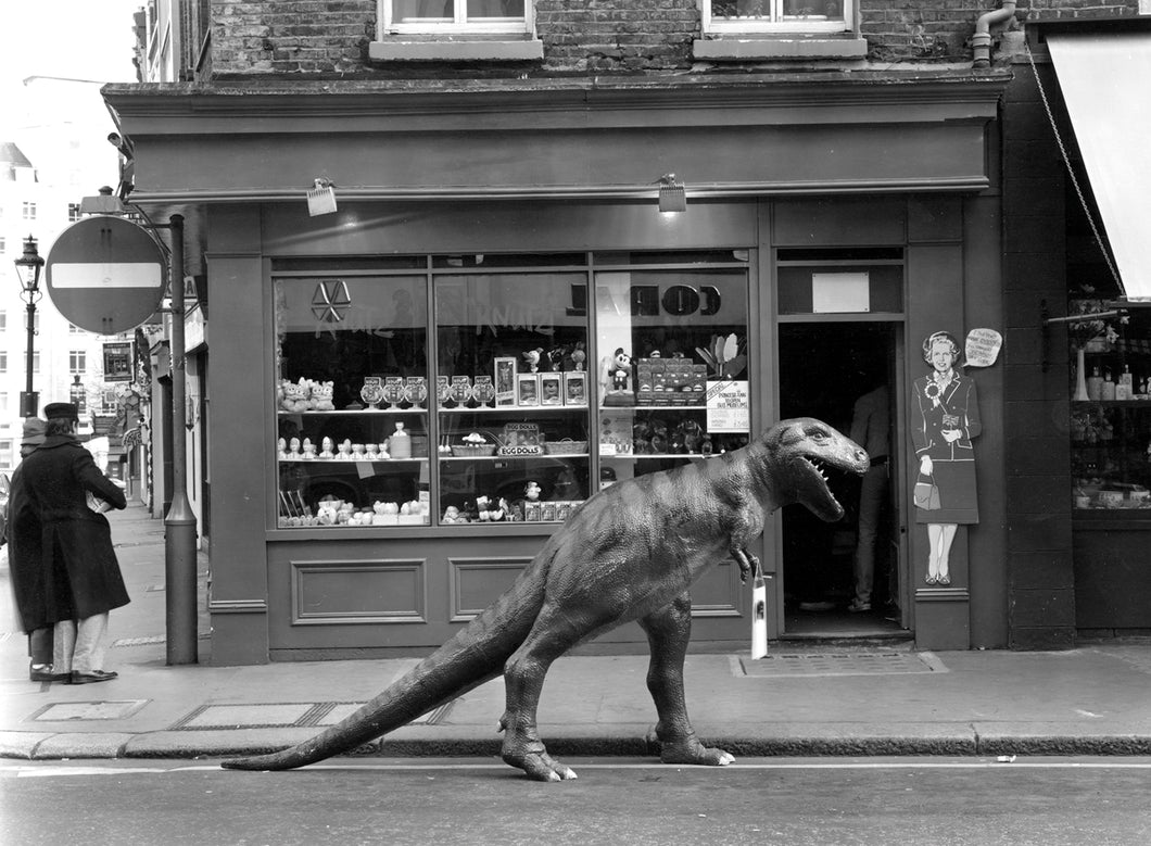 Black & White Dinosaur Shopping Card