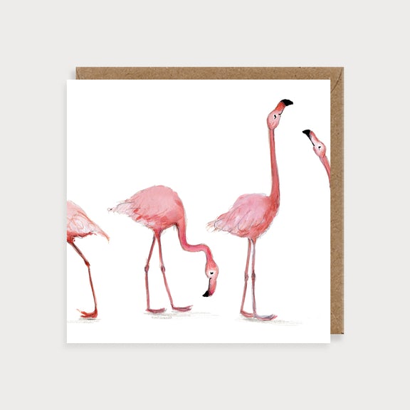Animal Blanks Flamingos Card