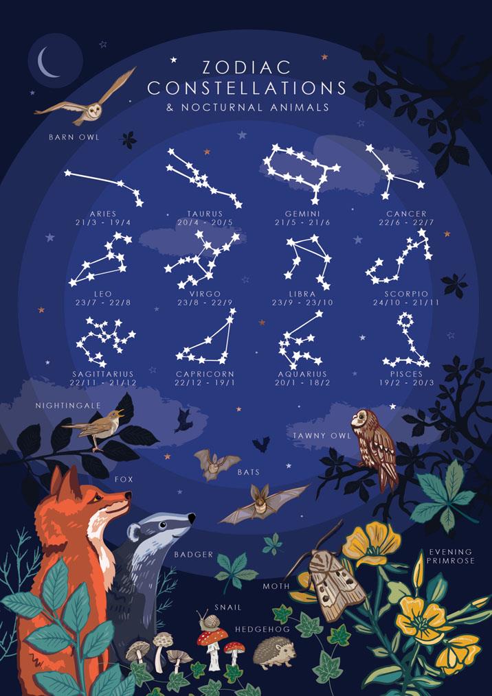 British Nature Zodiac Constellations Card