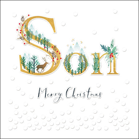 Merry Christmas Son Snowscene Card